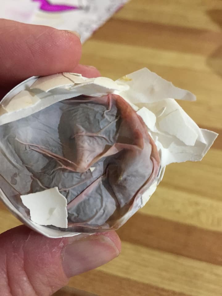 Why Do They Die At The End? The Chicks Were Fully-Formed