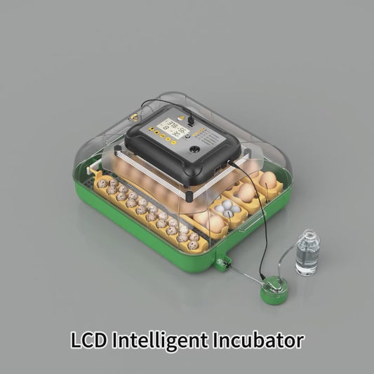 E-CLUCKY 63 Automatic Egg Incubator