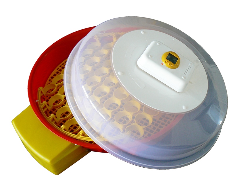 Small egg incubator for chicken and poultry